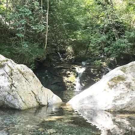 Gorgeous In Carcheto Brustico * Carcheto