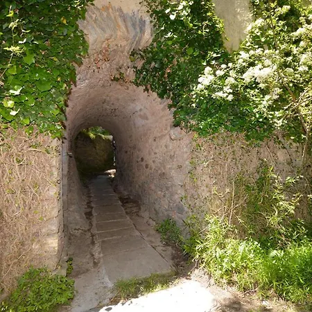 Gorgeous In Carcheto Brustico *